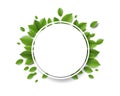 Green Leaves With White Ball Banner White Background