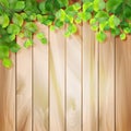 Green leaves on a wood texture. Vector background