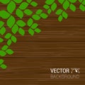 Green leaves on a wood texture. Vector season background with tree branches, wooden textured fence. Royalty Free Stock Photo