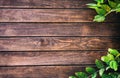 Green leaves on wooden old vintage brown planks.