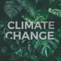 green leaves with word climate change on black background with copy space, global warming concept Royalty Free Stock Photo