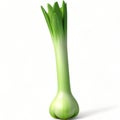Green leek 3D illustration isolated on white background. Fresh Vegetable