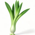 Green leek 3D illustration isolated on white background. Fresh Vegetable