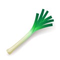 Green leek icon isolated, organic healthy food, fresh leaf, vegetable, vector illustration. Royalty Free Stock Photo