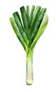 Green leek