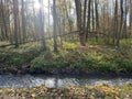 Green leisure park Bois des Reves with lake in Belgium