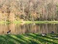 Green leisure park Bois des Reves with lake in Belgium