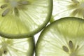 Green lemon slices thin pattern light . Royalty Free Stock Photo