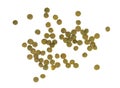 Green Lentil Seeds isolated on a White or Transparent Background. Backlit. Royalty Free Stock Photo