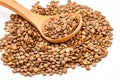 Green lentils Royalty Free Stock Photo