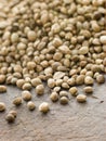 Green Lentils, Puy Lentils Royalty Free Stock Photo