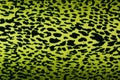 Green leopard, jaguar, lynx skin background