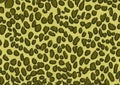 Green leopard skin texture background wallpaper design Royalty Free Stock Photo