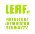 Green letters set. Vector latin alphabet. Natural product font. Leaf ABC, nature monogram and poster template