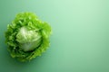 Green lettuce head vegetable or salad on green background. Vegan diet, healthy organic food, vegetables, salad preparation Royalty Free Stock Photo