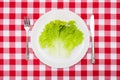 Green lettuce leaf on white plate Royalty Free Stock Photo