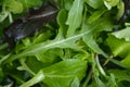 Green lettuce leaves close-up snack background spring dieting Royalty Free Stock Photo