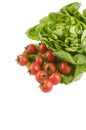 Green lettuce salad and tomato fresh food Royalty Free Stock Photo