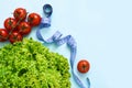 Green lettuce, tomatoes and centimetr on a blue background