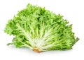 Green lettuce on white Royalty Free Stock Photo