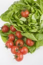 Green lettuse salad and tomato fresh food Royalty Free Stock Photo