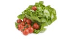 Green lettuse salad and tomato fresh food