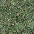 Green lichen seamless surface, mossy stone texture