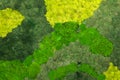 Green lichens plants background