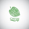 Green life doodle leaf like logo icon