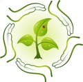 Green life in hands, Royalty Free Stock Photo