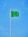 A green lifeguard flag on a beach