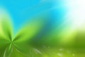 Green ligh blue background nature friendly Royalty Free Stock Photo