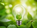 Green light bulb with dollar sign inside on green moss and nature background Royalty Free Stock Photo