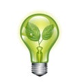 Green light bulb with leaf on white Royalty Free Stock Photo