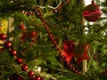 Green light green needles grow on a real Christmas tree. Royalty Free Stock Photo
