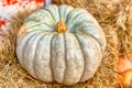 Green light ribbed pumpkin on beige hay rustic farmer close up eco farmer products
