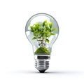 A green lightbulb cradled by vibrant leaves, evoking the harmony between innovation and the environment.