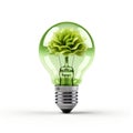 A green lightbulb cradled by vibrant leaves, evoking the harmony between innovation and the environment.