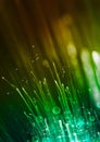 Green lights and rays on the black background, textured lighting background, digital fiber grass, dew drops on the grass Royalty Free Stock Photo