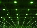Green Lights and ventilation system in long line on ceiling of the dark office industrial building, exhibition Hall Ceiling constr