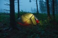 Green lightweight freestanding three-season 2-person tent on forest in the morning after rain in Beskid Mountains Royalty Free Stock Photo