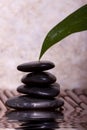 Green lily leaf touching balanced pebble rocks