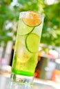 Green Lime alcohol drink cocktail with dried slice and ice Royalty Free Stock Photo