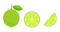 Green lime citrus fruit and slice icons