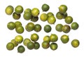 Green Lime fly explosion, many round green lime fall down fruit. group of Tropical green lime with rough natural surface throw in