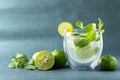 Green lime juice soda with mint leaf, Fresh drink in summer season Royalty Free Stock Photo