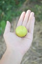 Green lime on man hand Royalty Free Stock Photo