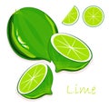 Green lime, green roots, slices on white background, hand drawing painting Royalty Free Stock Photo