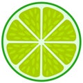 Green lime slice citrus fruit cut section