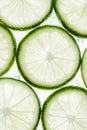 Green lime slices and ice cubes Royalty Free Stock Photo